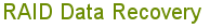 RAID Data Recovery 